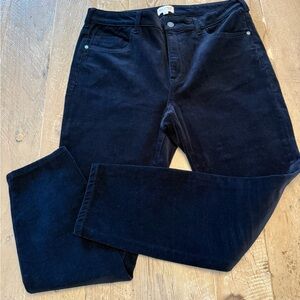 Pilcro Anthropologie Navy Cordoroy Pants 32 NWOT